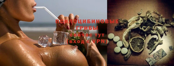 стаф Балахна