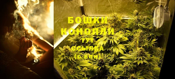 стаф Балахна