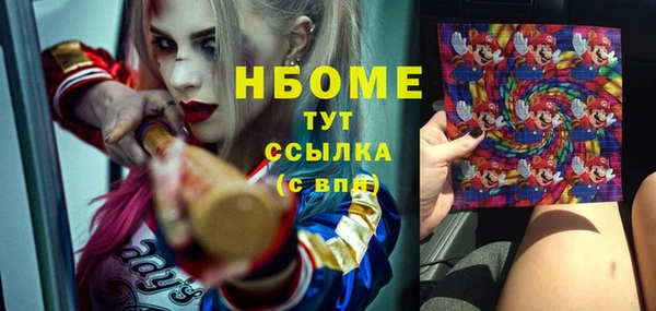 стаф Балахна