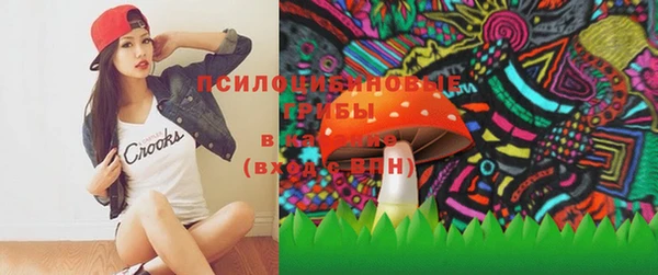 стаф Балахна